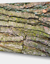Thick Tree Skin Close-Up - Modern Floral Large Canvas Art