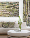 Thick Tree Skin Close-Up - Modern Floral Large Canvas Art