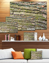 Thick Tree Skin Close-Up - Modern Floral Large Canvas Art