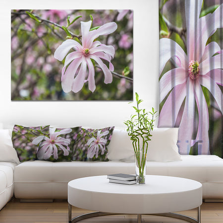 Beautiful Magnolia Flowers - Modern Floral Large Canvas Art