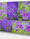 Blue Spring Flowers Collage - Modern Floral Large Canvas Art