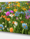 Different Color Flowers in Field - Modern Floral Large Canvas Art