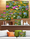 Different Color Flowers in Field - Modern Floral Large Canvas Art