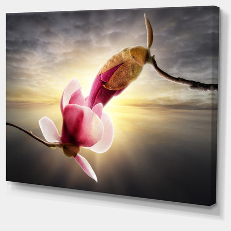 Beautiful Magnolia Flowers - Floral Canvas Wall Art