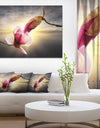 Beautiful Magnolia Flowers - Floral Canvas Wall Art