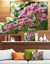 Purple Chrysanthemum Flower - Floral Canvas Wall Art