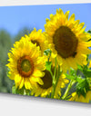 Beautiful Sunflowers View - Floral Canvas Wall Art