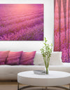 Lavender Field and Ray of Light - Floral Canvas Wall Art