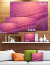 Lavender Field and Ray of Light - Floral Canvas Wall Art