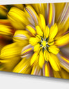 Massive Yellow Fractal Flower - Extra Large Floral Canvas Art Print