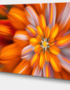 Massive Orange Fractal Flower - Extra Large Floral Canvas Art Print