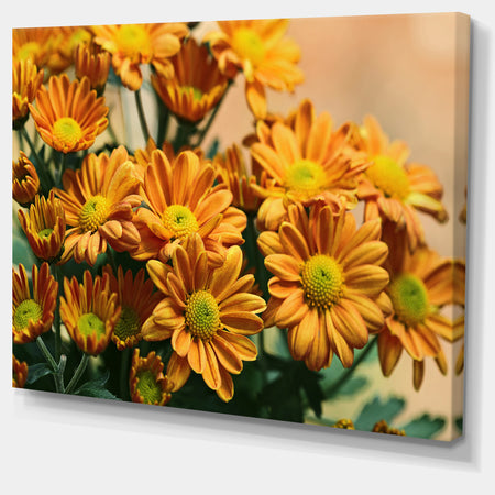 Bright Yellow Flowers in Garden - Extra Large Floral Canvas Art Print