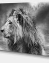 Grey Wild African Lion - Modern Animal Canvas Art