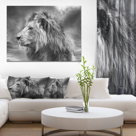 Grey Wild African Lion - Modern Animal Canvas Art