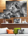 Grey Wild African Lion - Modern Animal Canvas Art