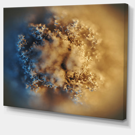 Large Macro Prickly Texture Brown - Abstract Canvas Wall Art