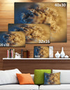 Large Macro Prickly Texture Brown - Abstract Canvas Wall Art