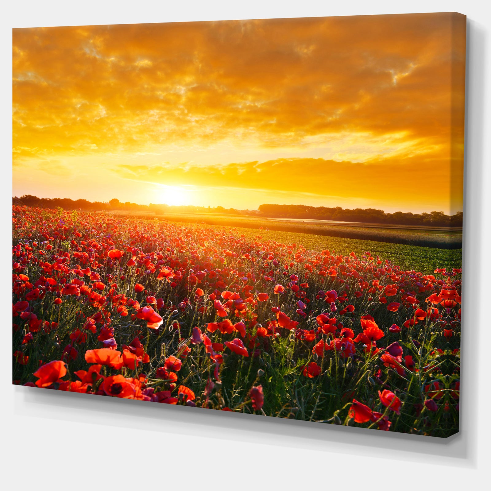 Poppy Field under Ablaze Sunset - Abstract Wall Art Canvas