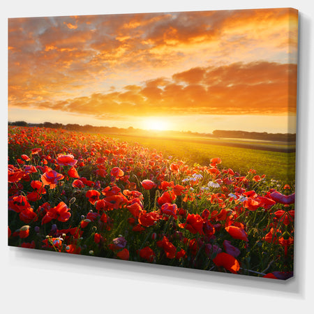 Beautiful Poppy Field at Sunset - Abstract Wall Art Canvas