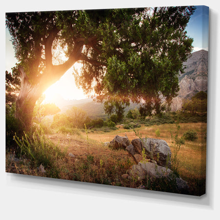 Picturesque Foros Mountains - Extra Large Abstract Canvas Art Print