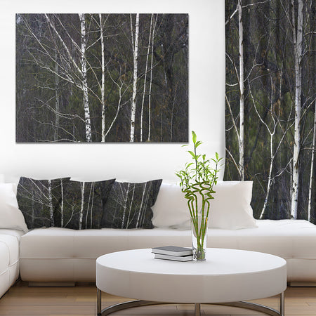 Black and White Birch Forest - Abstract Wall Art Canvas