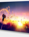 Dandelion at Sunset Freedom to Wish - Abstract Wall Art Canvas