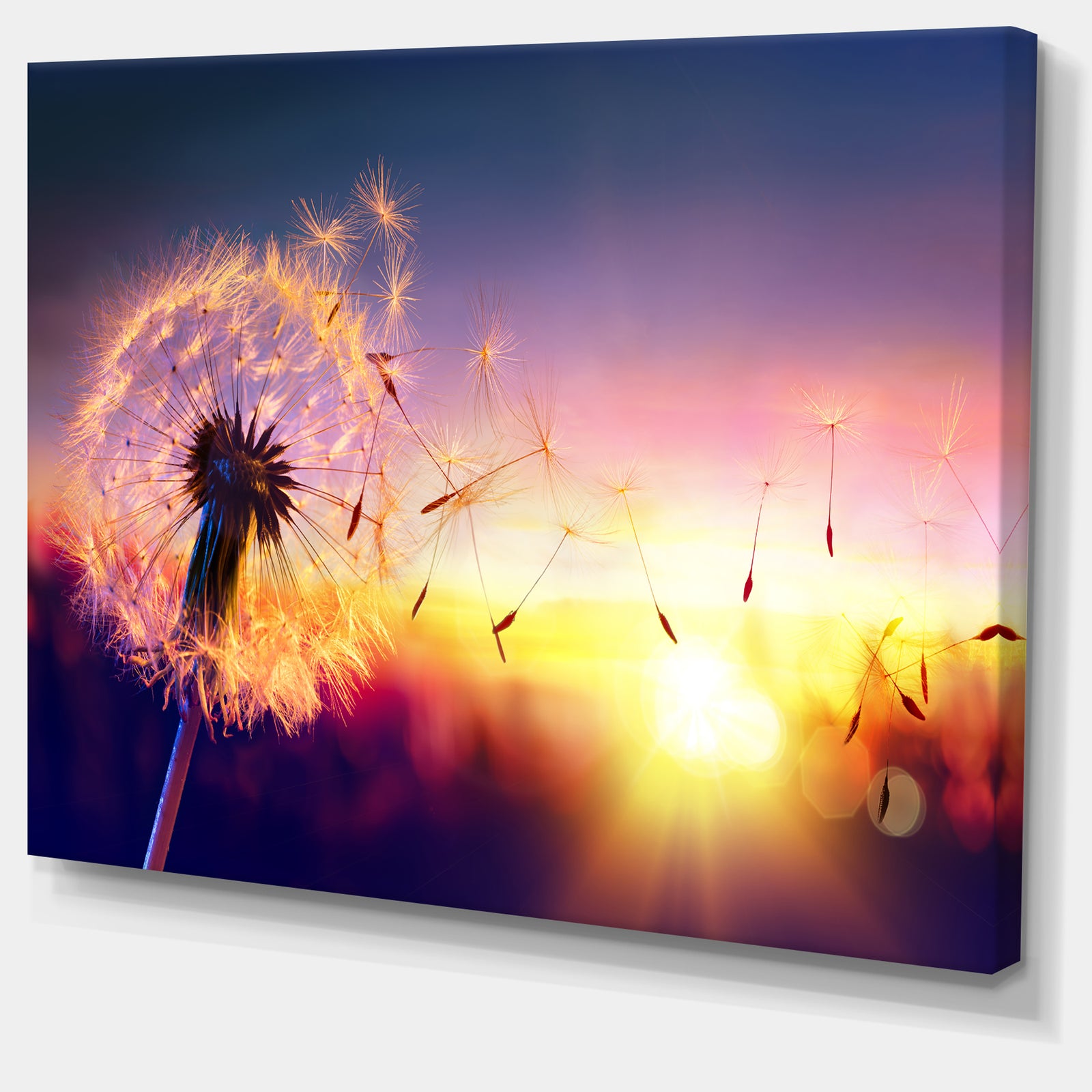 Dandelion at Sunset Freedom to Wish - Abstract Wall Art Canvas