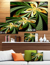 Colorful Fractal Flower Pattern'Extra Large Abstract Print Art