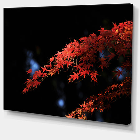 Fall Foliage of Maple Leaves - Abstract Artwork on Canvas