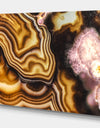 Pink Brown Turritella Agate Pattern - Stone Photographic on Wrapped Canvas