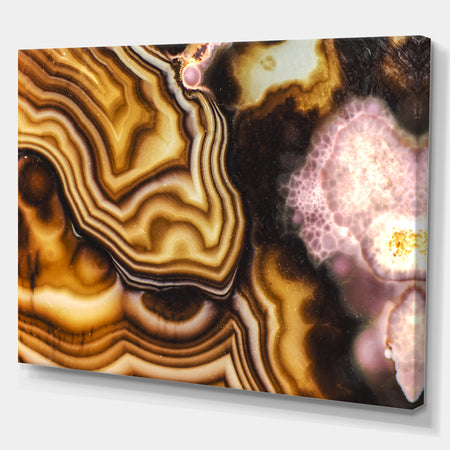 Pink Brown Turritella Agate Pattern - Stone Photographic on Wrapped Canvas