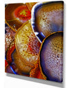 Energy stones polished in flat shape - Stone Photographic on Wrapped Canvas