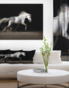 White horse in desert dust - Farmhouse Animals Photographic on wrapped Canvas