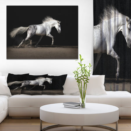 White horse in desert dust - Farmhouse Animals Photographic on wrapped Canvas