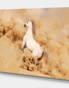 Purebred white arabian horse in desert - Farmhouse Animals Photographic on wrapped Canvas