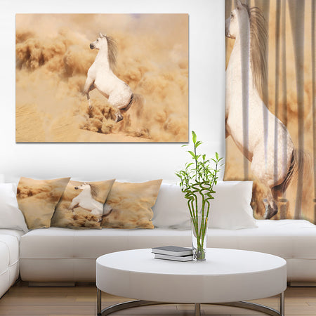 Purebred white arabian horse in desert - Farmhouse Animals Photographic on wrapped Canvas