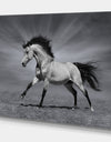 Chestnut horse in motion - Farmhouse Animals Photographic on wrapped Canvas