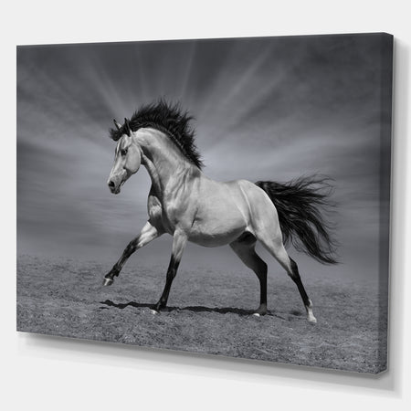 Chestnut horse in motion - Farmhouse Animals Photographic on wrapped Canvas