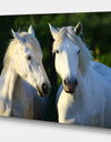 Portrait of gorgeous horses - Farmhouse Animals Photographic on wrapped Canvas