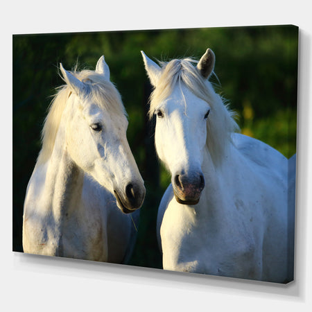Portrait of gorgeous horses - Farmhouse Animals Photographic on wrapped Canvas