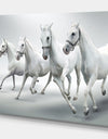 Four White Horses - Farmhouse Animals Photographic on wrapped Canvas