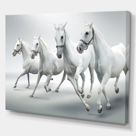 Four White Horses - Farmhouse Animals Photographic on wrapped Canvas