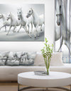 Four White Horses - Farmhouse Animals Photographic on wrapped Canvas