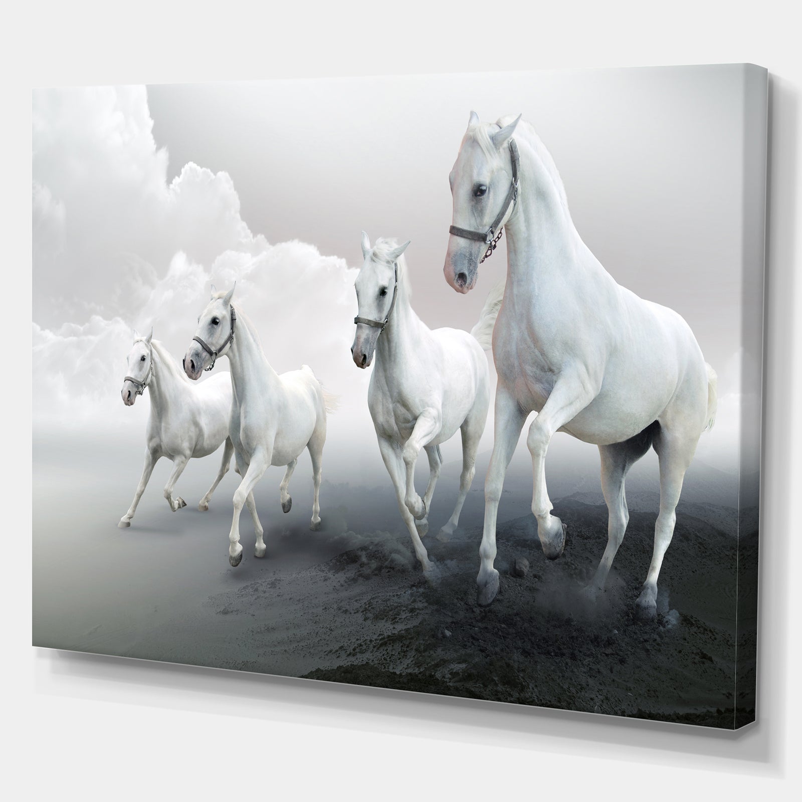 Four White Horses in Cloudy Day - Farmhouse Animals Photographic on wrapped Canvas
