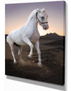 White horse in the desert - Farmhouse Animals Photographic on wrapped Canvas