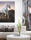 White horse in the desert - Farmhouse Animals Photographic on wrapped Canvas