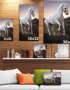 White horse in the desert - Farmhouse Animals Photographic on wrapped Canvas