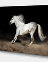 White horse with Long Mane in desert dust - Farmhouse Animals Photographic on wrapped Canvas