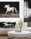 White horse with Long Mane in desert dust - Farmhouse Animals Photographic on wrapped Canvas