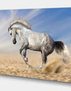 White Horse in Calm Sky - Farmhouse Animals Photographic on wrapped Canvas